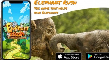 Az Elephant Rush című mobiljátékkal az elefántokról tanulhatunk match-3 puzzle köntösben